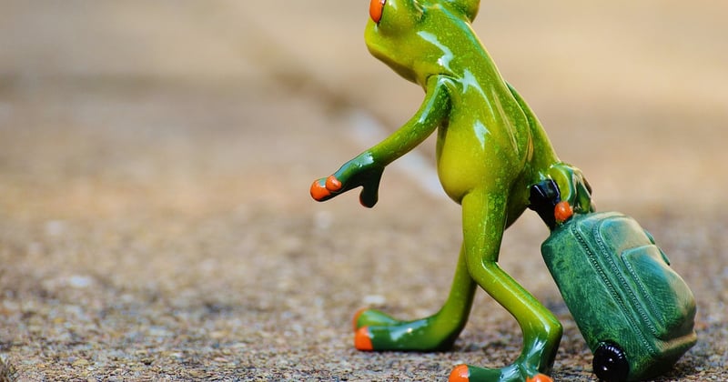 Valise légère : le guide complet pour préparer son voyage sans stress