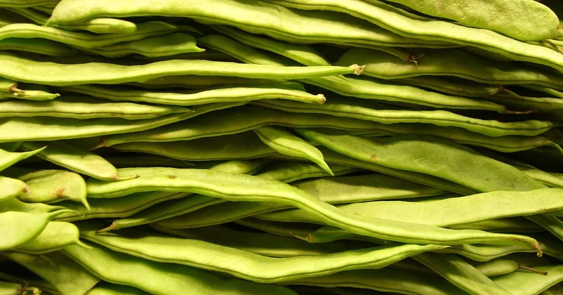 Où acheter bio en Espagne : les équivalents de Biocoop existent-ils ?